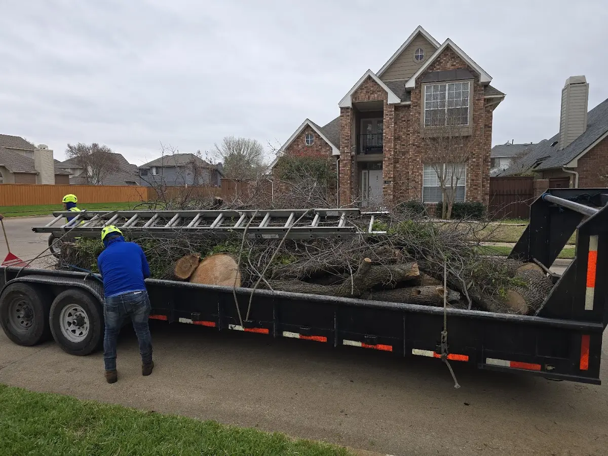 Expert Tree Fertilization with proper safety equipment in Danville
